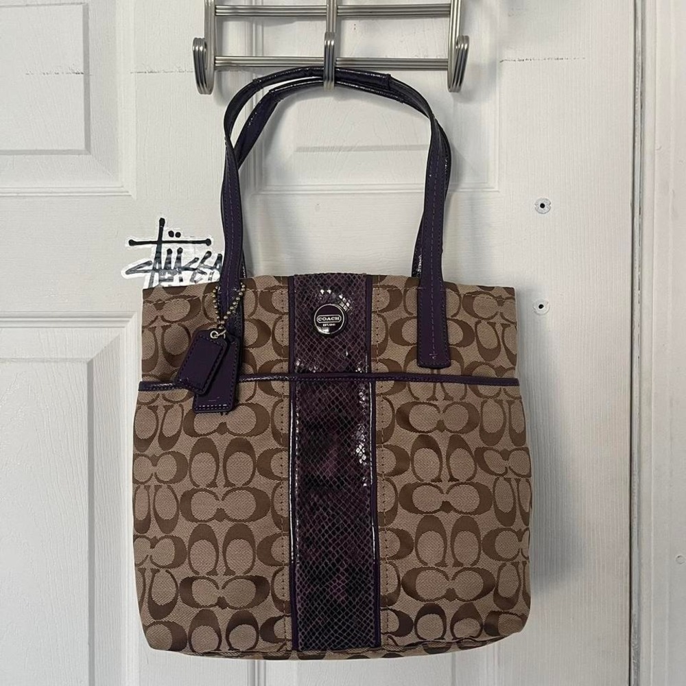 Y2K 2000s Coach Stripe Python Tote shoulder bag / Handbag
